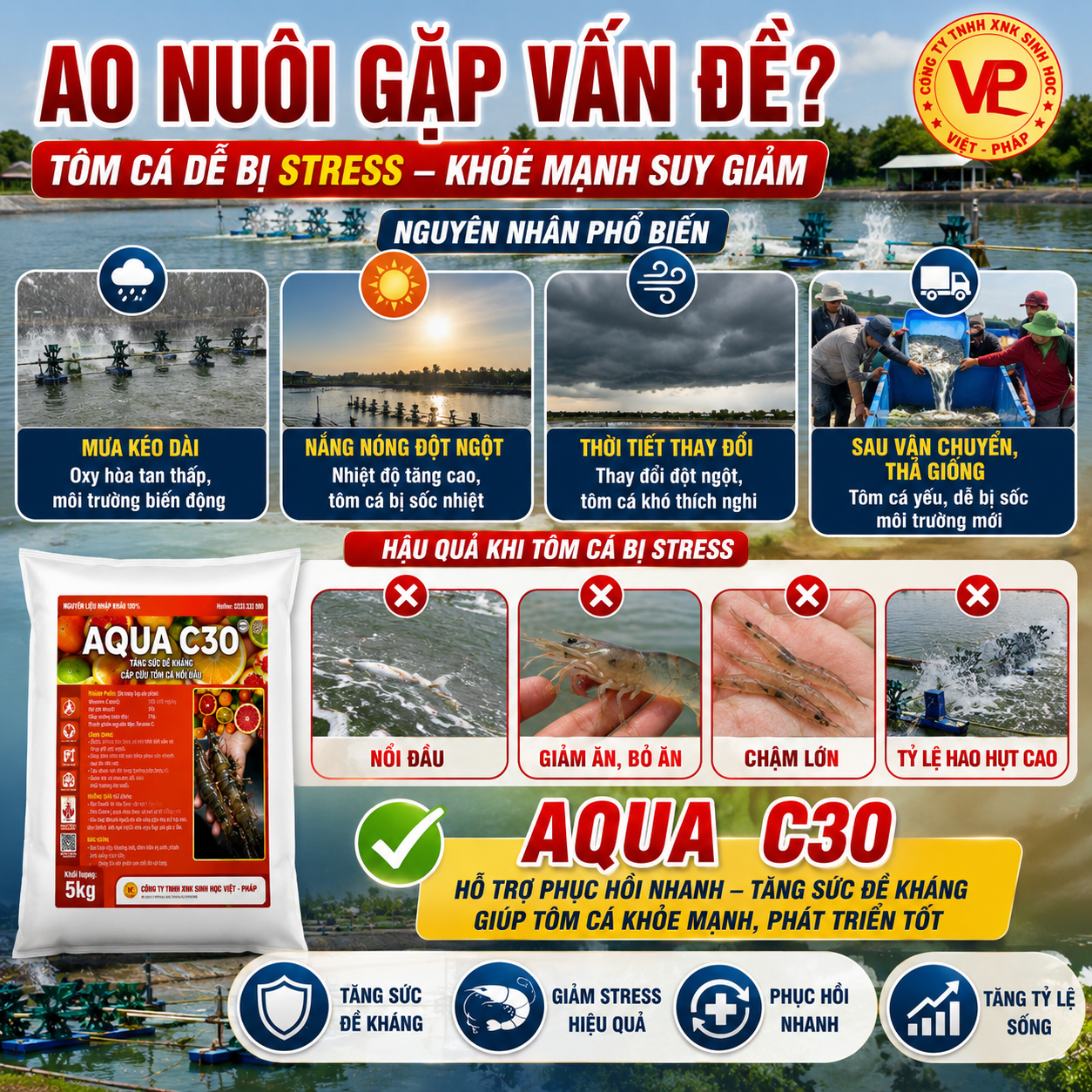 135ebd76-6a6a-4c50-b977-8ebde737aff24 135ebd76-6a6a-4c50-b977-8ebde737aff24