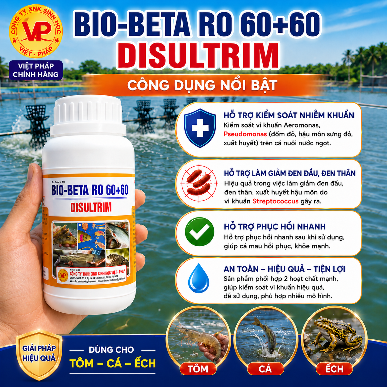 fbca614a-89c0-403d-a4d9-64897a628002 fbca614a-89c0-403d-a4d9-64897a628002